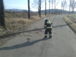 Usuwanie skutkw wichury